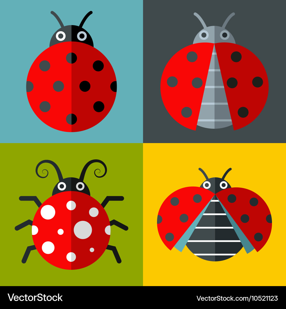 Ladybug icons in flat style on color background vector image