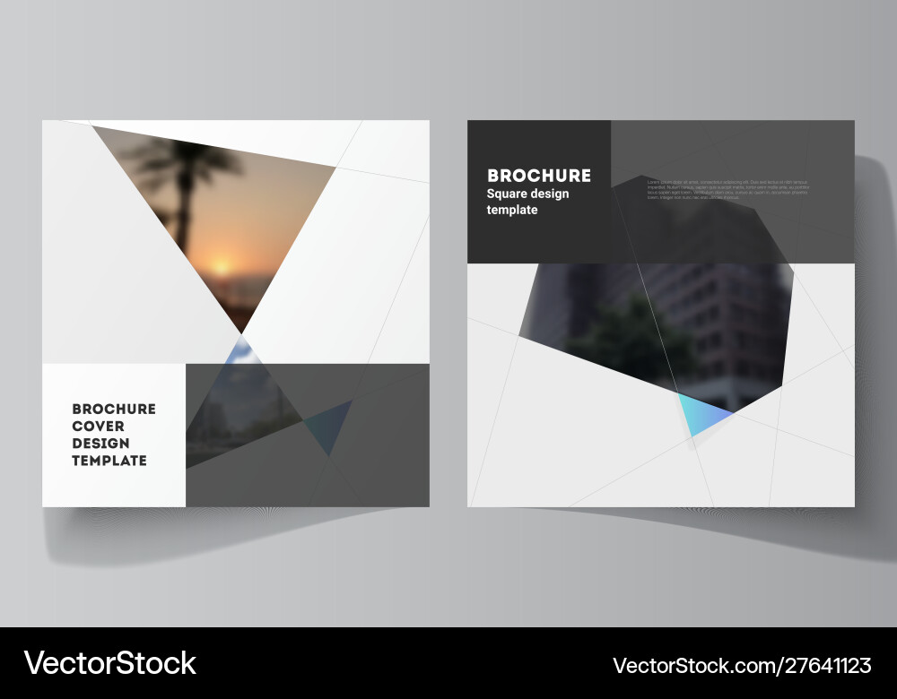 Minimal layout two square format vector image