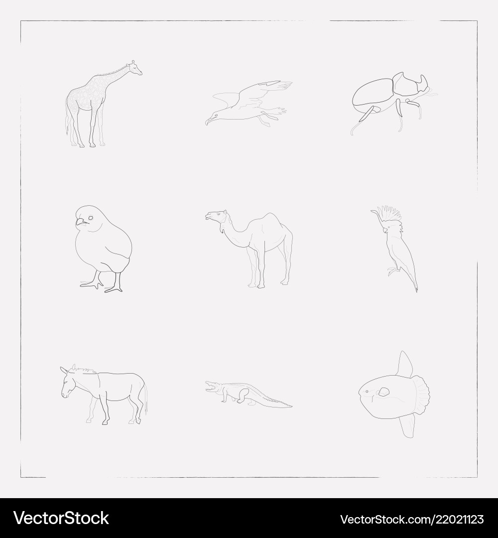 Set of alive icons line style symbols with dankey Set of alive icons line style symbols with dankey Vector Image