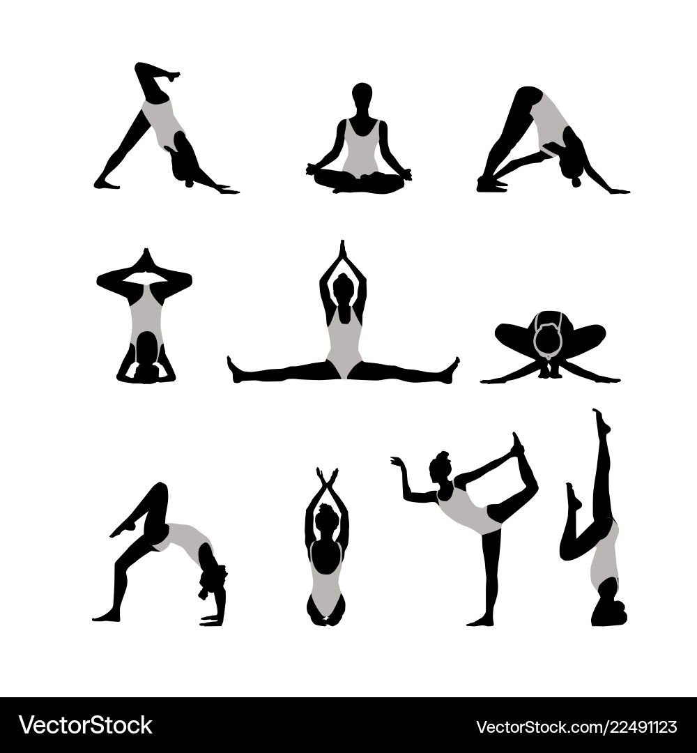 Woman silhouettes isolated on white background Woman silhouettes isolated on white background vector image