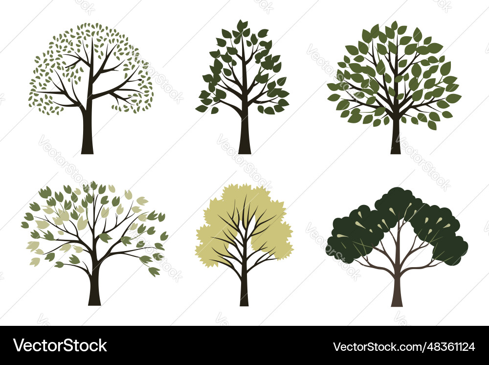 Set of tree in simple flat style isolated Set of tree in simple flat style isolated vector image