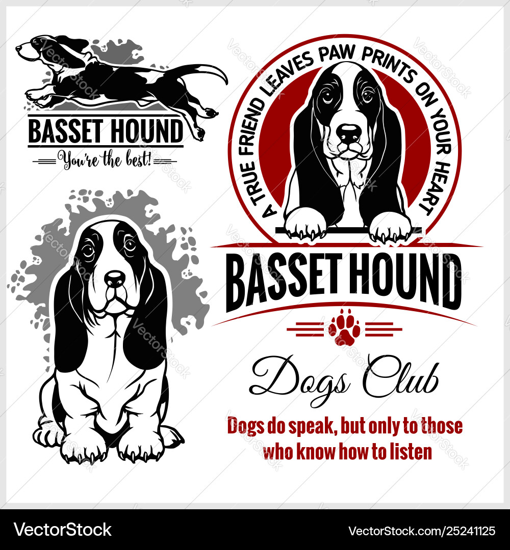 Basset Hound Logo Set Vector Image