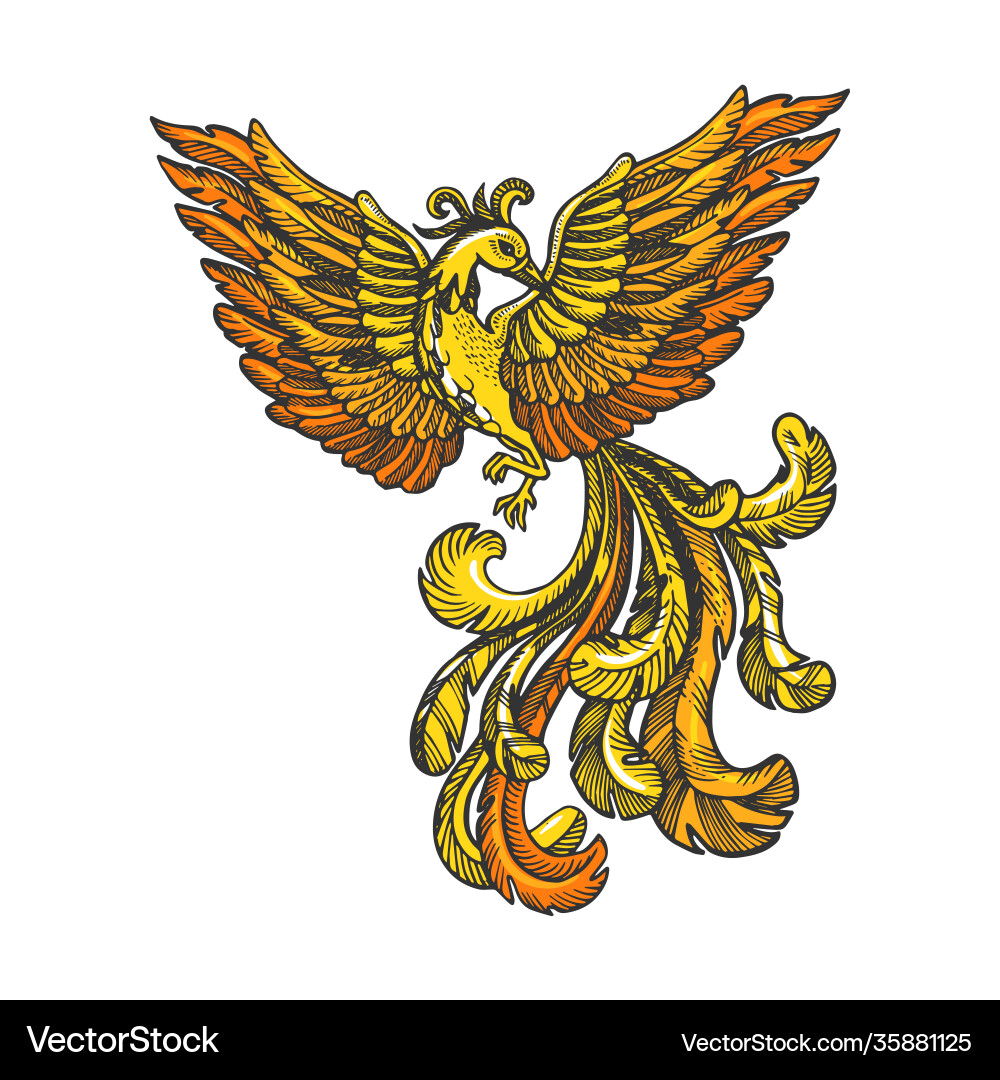 Firebird Myth Sketch vector image