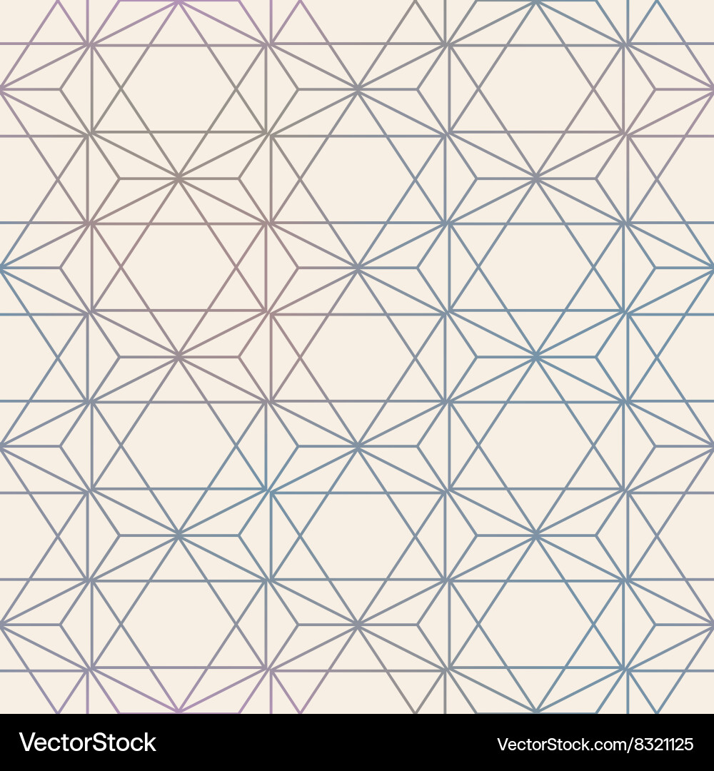 Geometric Hexagon Mesh Pattern vector image