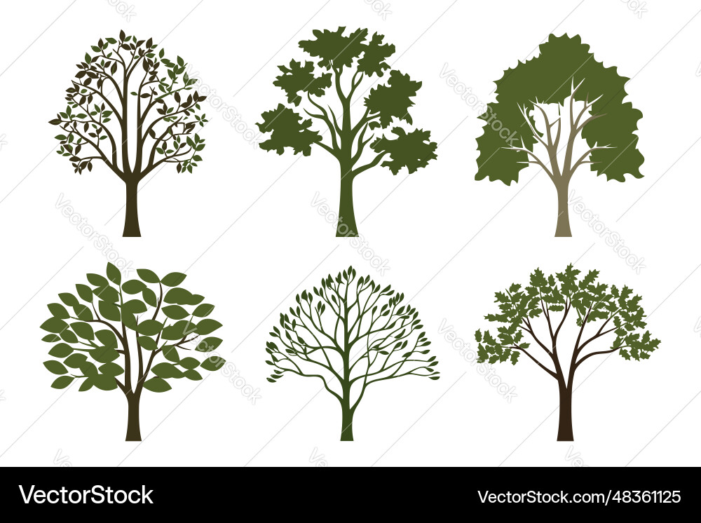 Set of tree in simple flat style isolated Set of tree in simple flat style isolated vector image