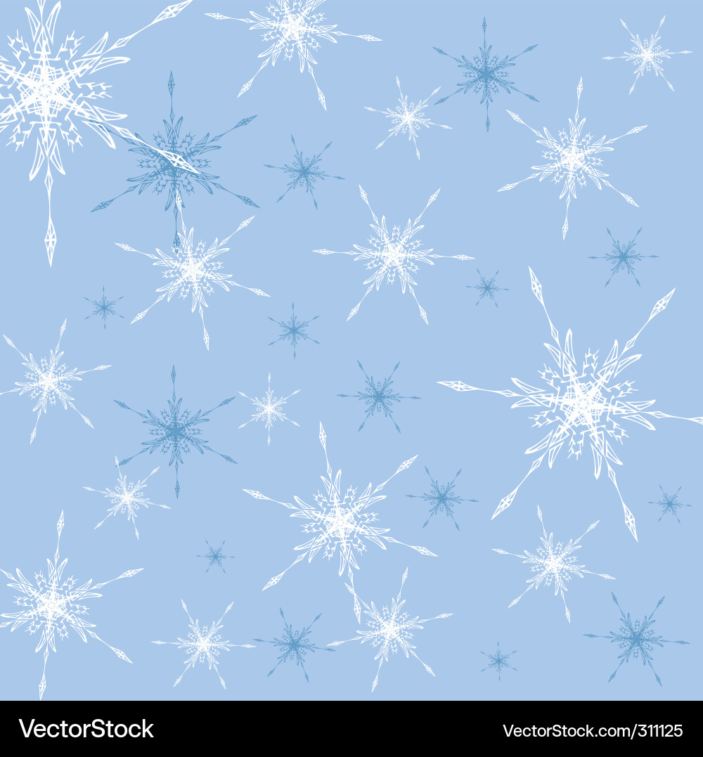 Winter Snowflake Pattern Vector Image