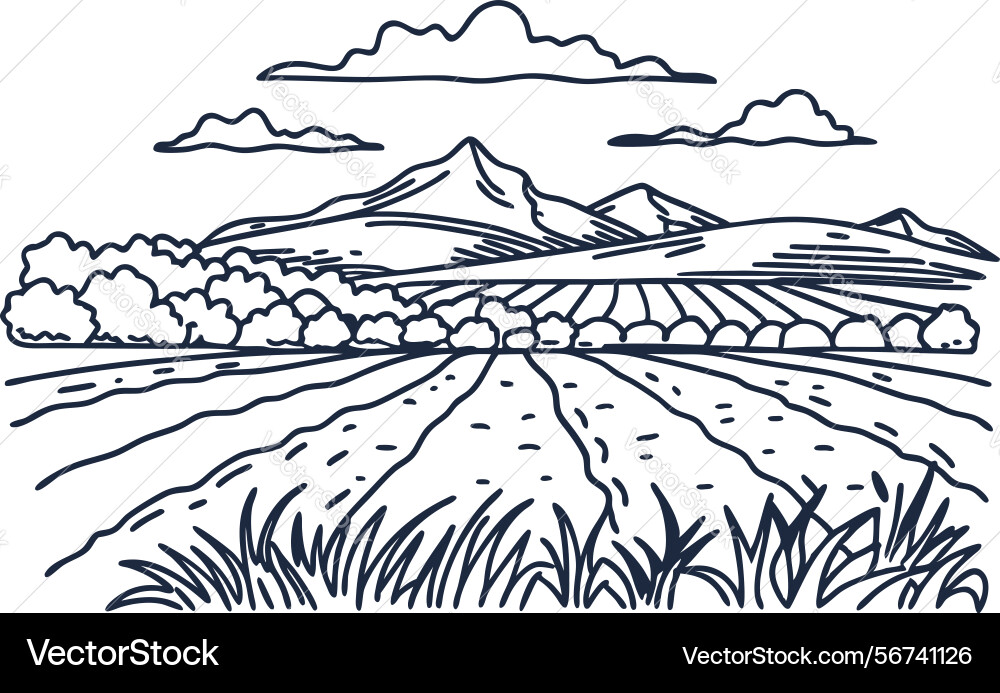 Mountain landscape with fields trees and clouds Vector Image