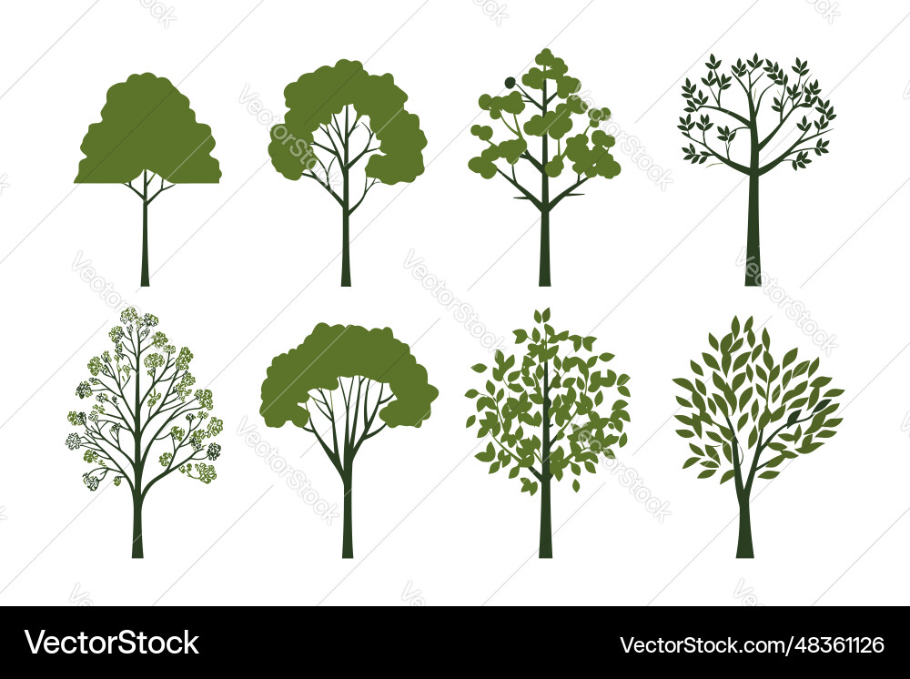 Set of tree in simple flat style isolated Vector Image