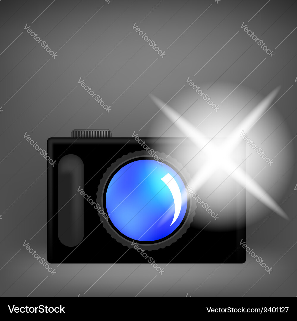 Digital Camera with Flash Icon vector image