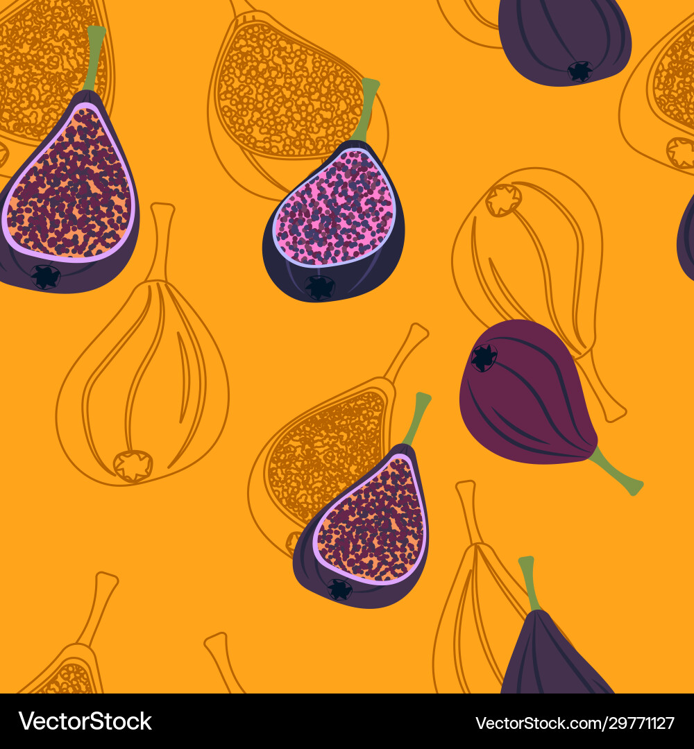 Linear pattern with cut figs Linear pattern with cut figs vector image
