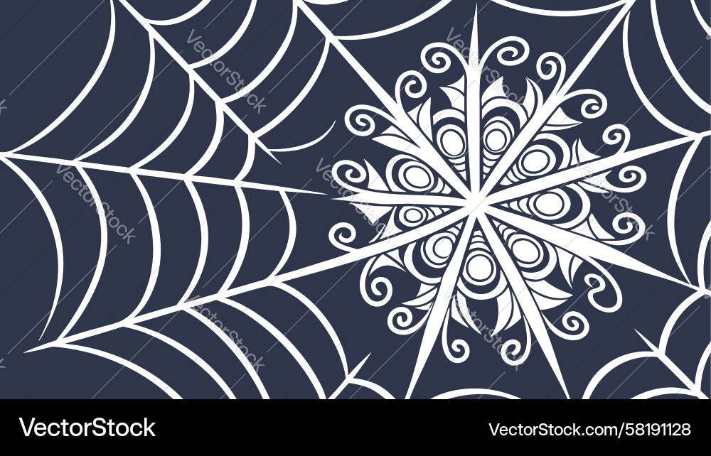 Intricate Snowflake Spiderweb Pattern Vector Image