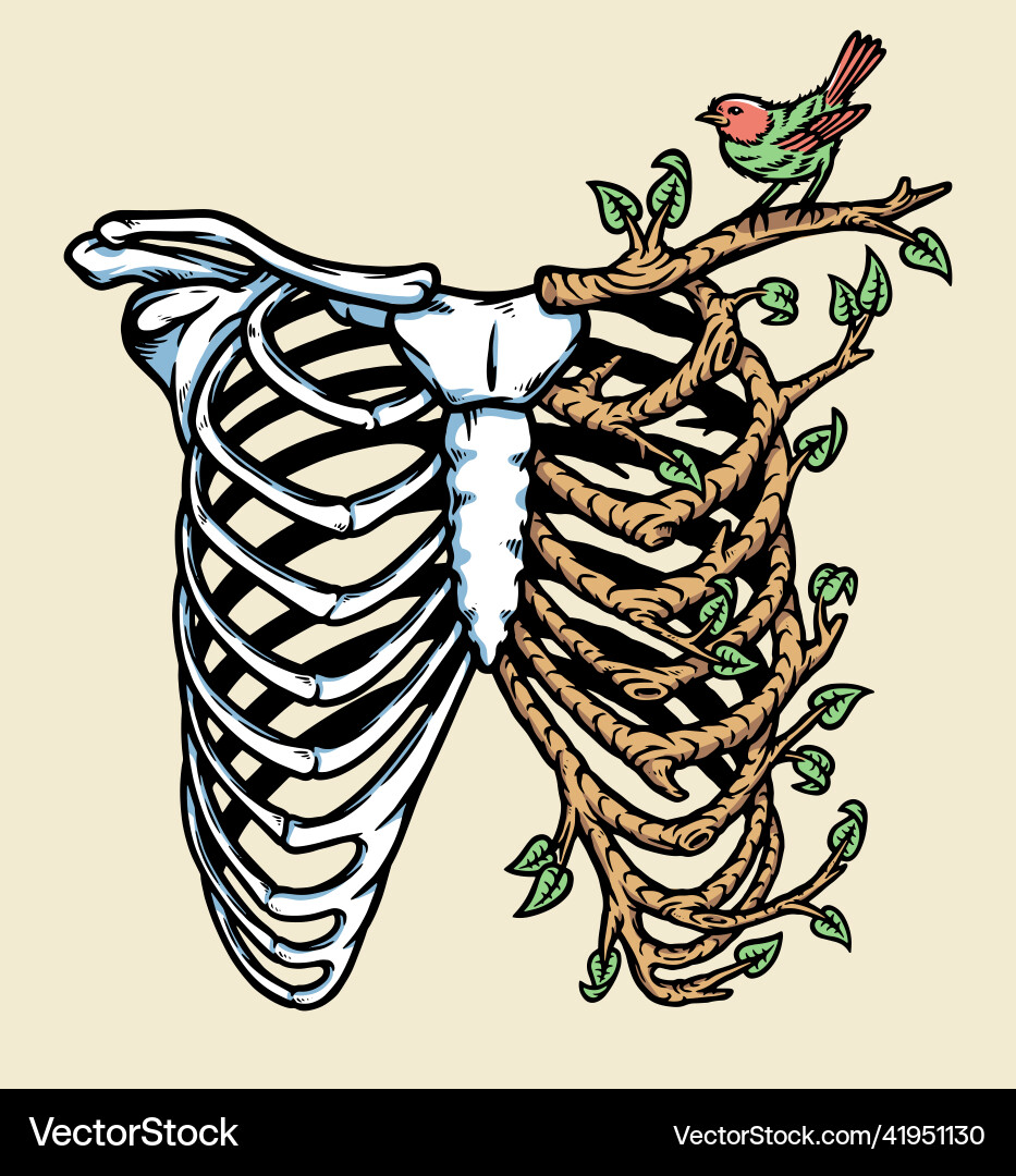 Natural human bones Royalty Free Vector Image - VectorStock