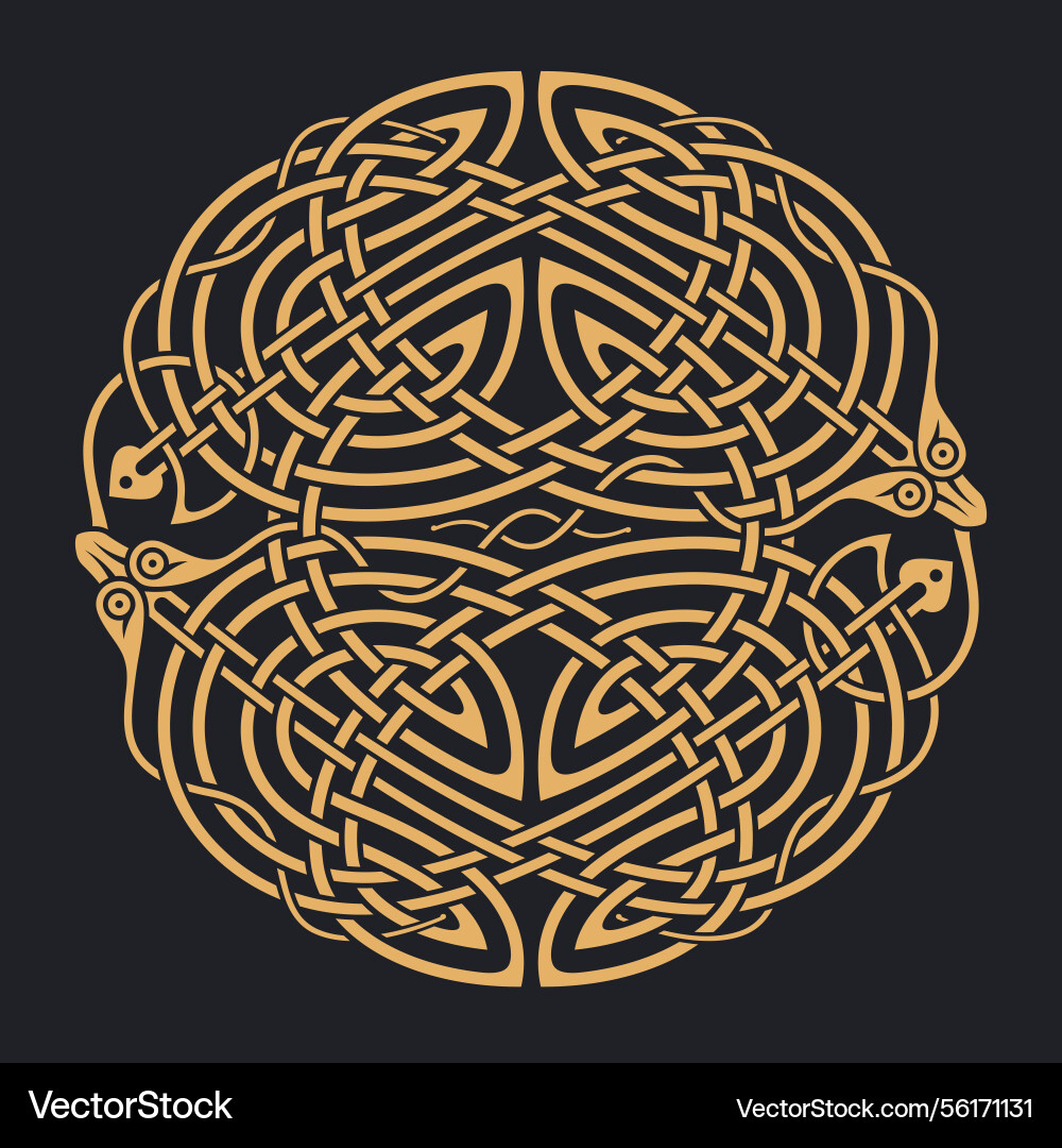 Celtic Knotwork Ornament vector image