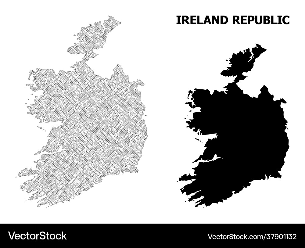 Polygonal network mesh high resolution map Polygonal network mesh high resolution map vector image