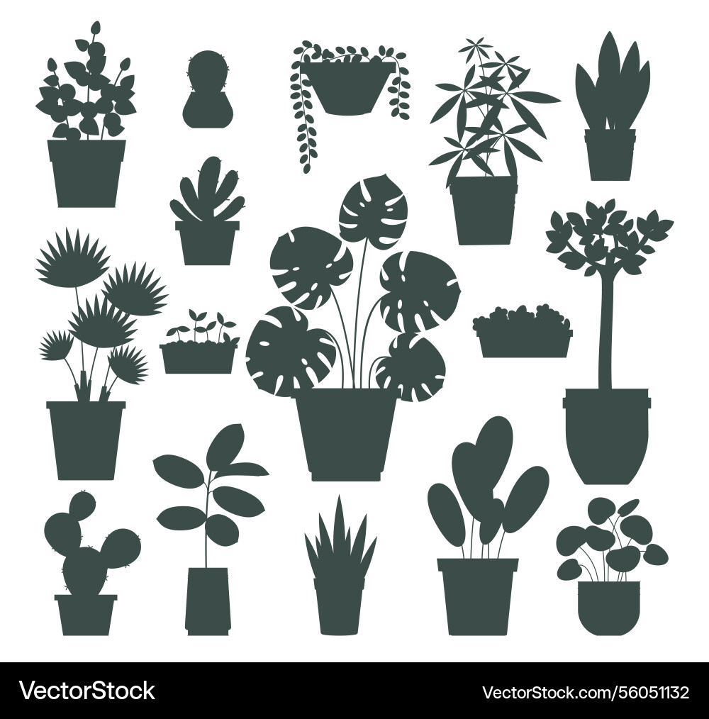 Set silhouettes domestic plants houseplants Set silhouettes domestic plants houseplants vector image