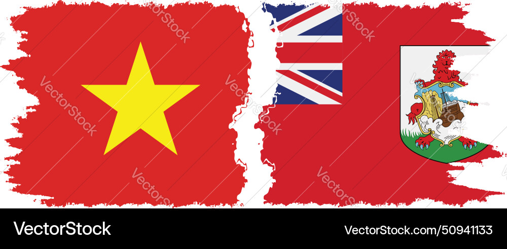 Bermuda and vietnam grunge flags connection Bermuda and vietnam grunge flags connection vector image