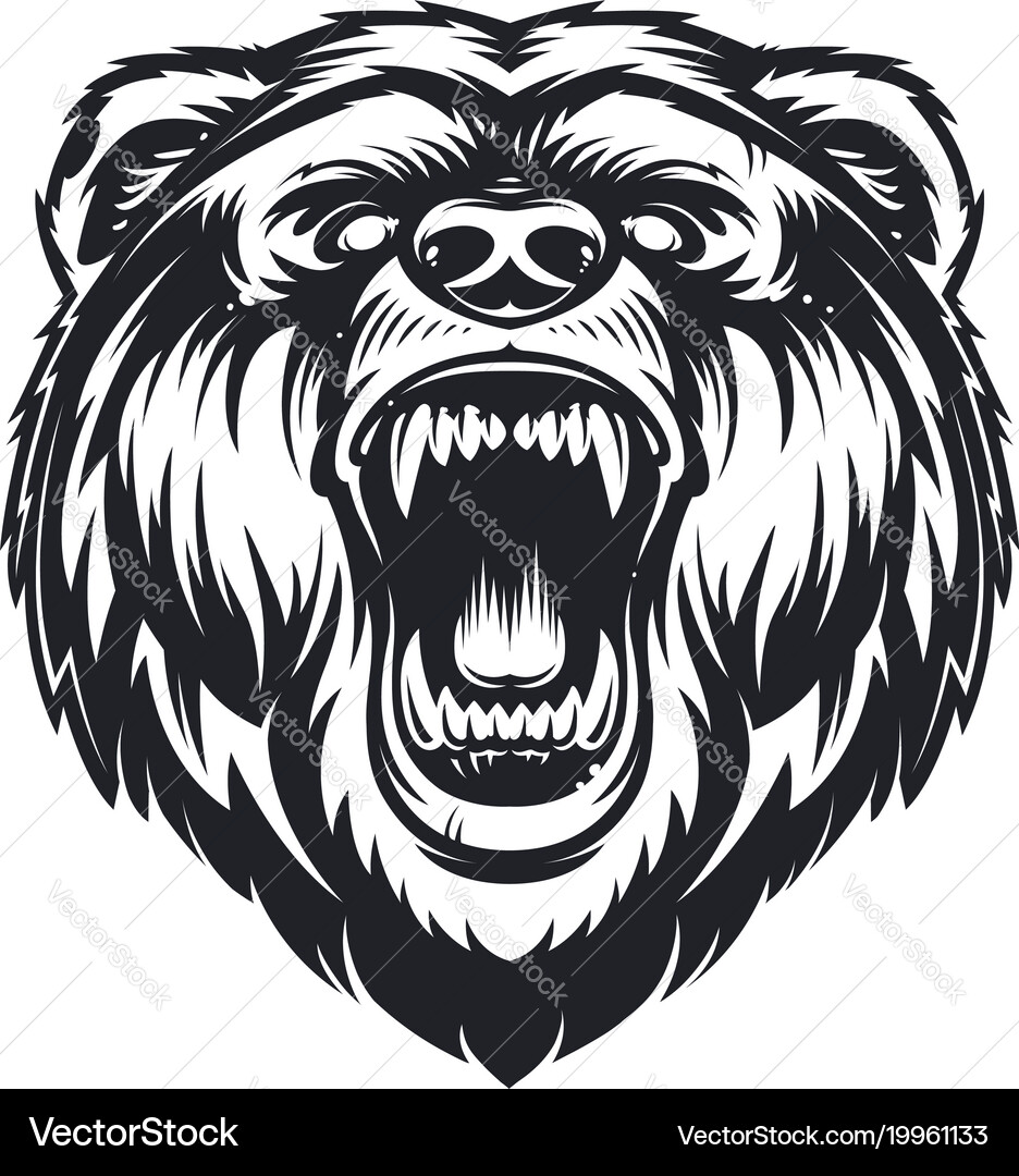 Furious Bear Head Royalty Free Vector Image - VectorStock