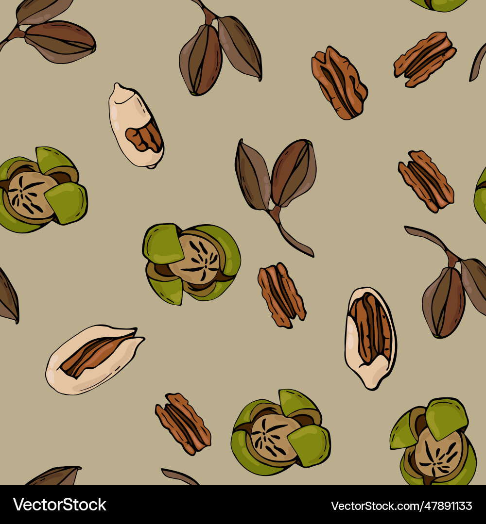 Seamless pattern with pecan nuts Vector Image