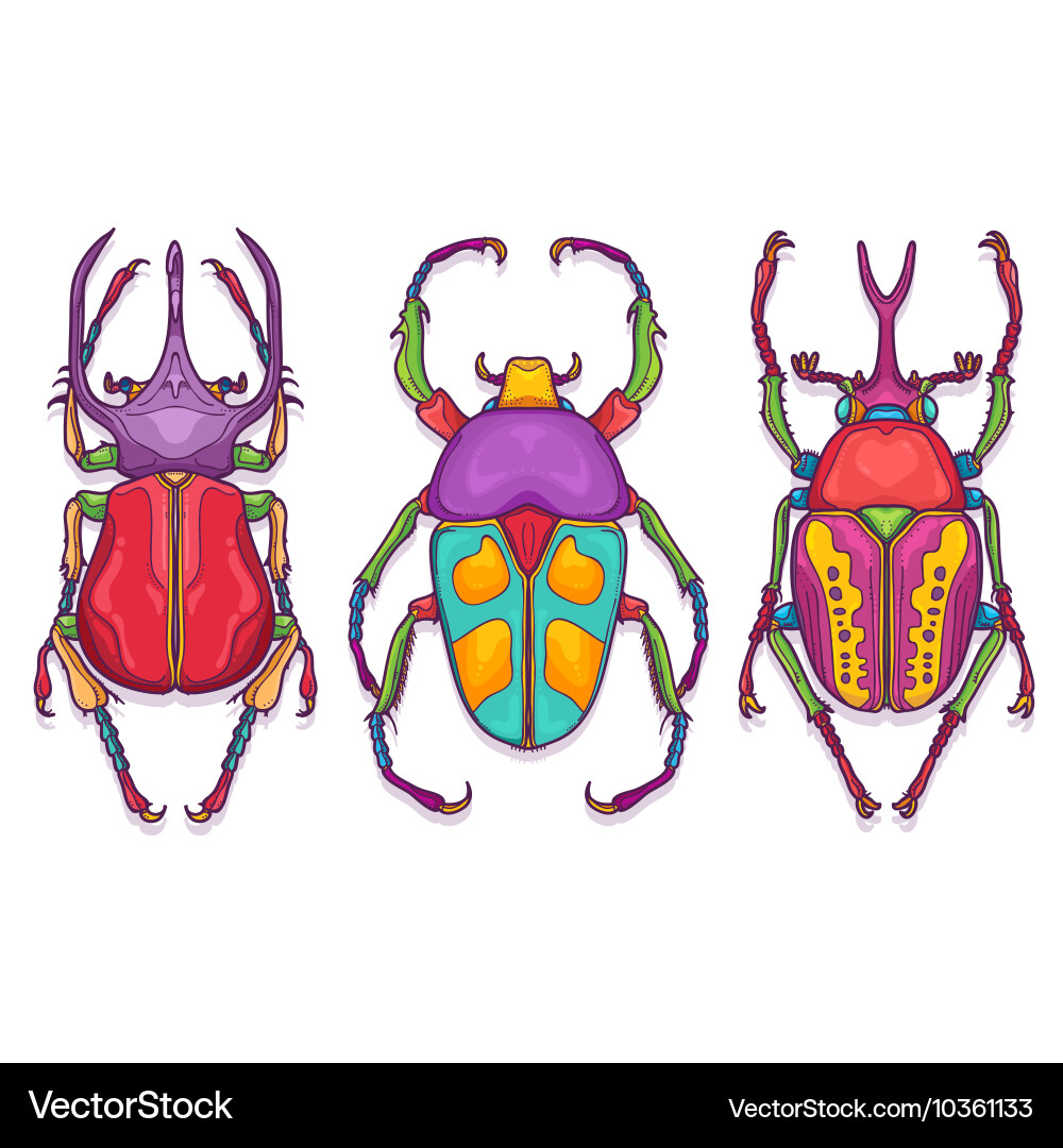Three Colorful Beetle Bugs vector image