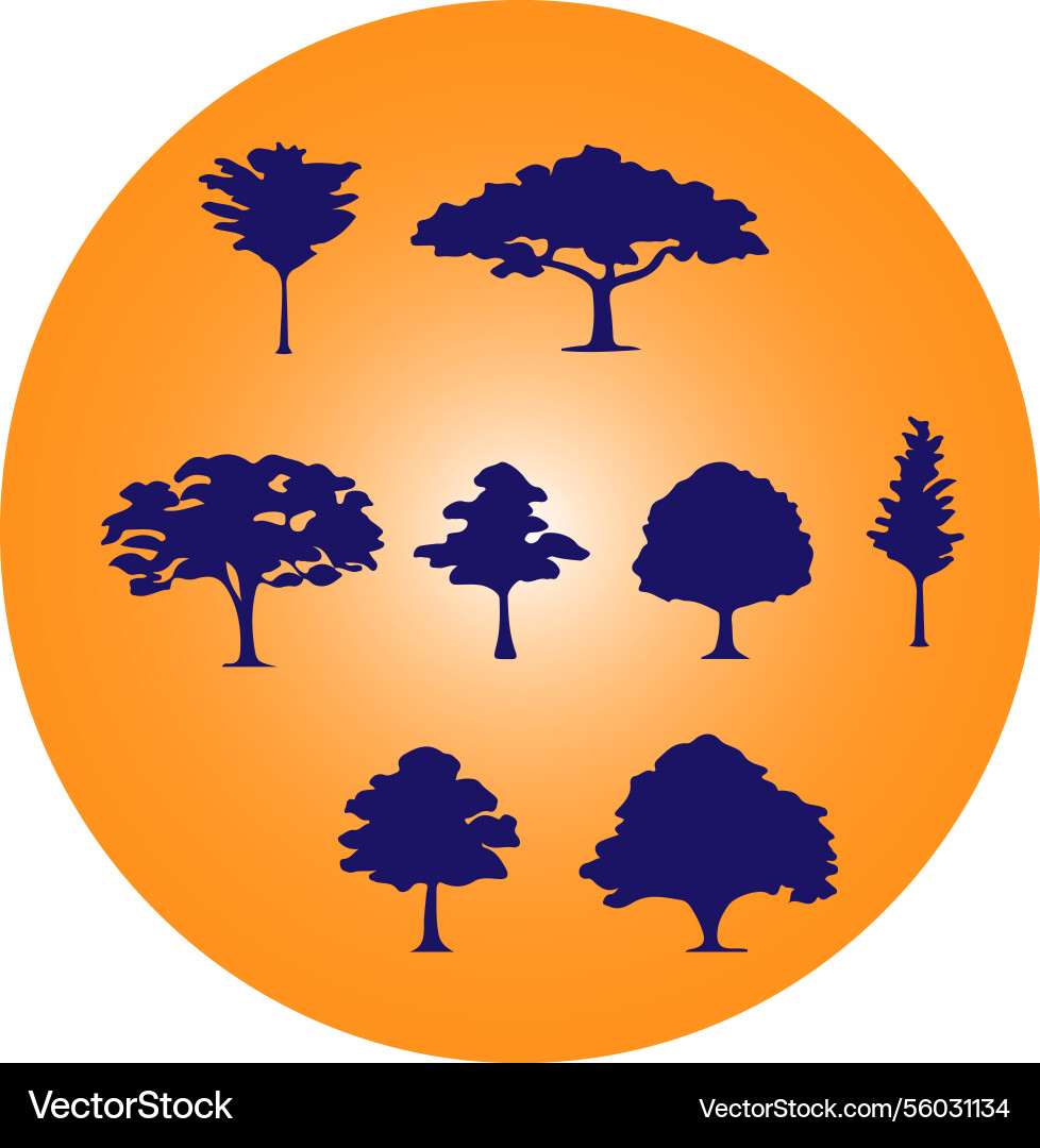 Four trees representing the seasons in a colo Vector Image