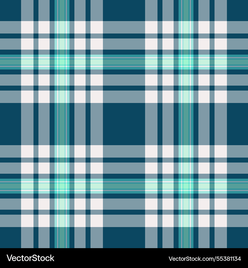 Group tartan background texture close-up pattern Vector Image