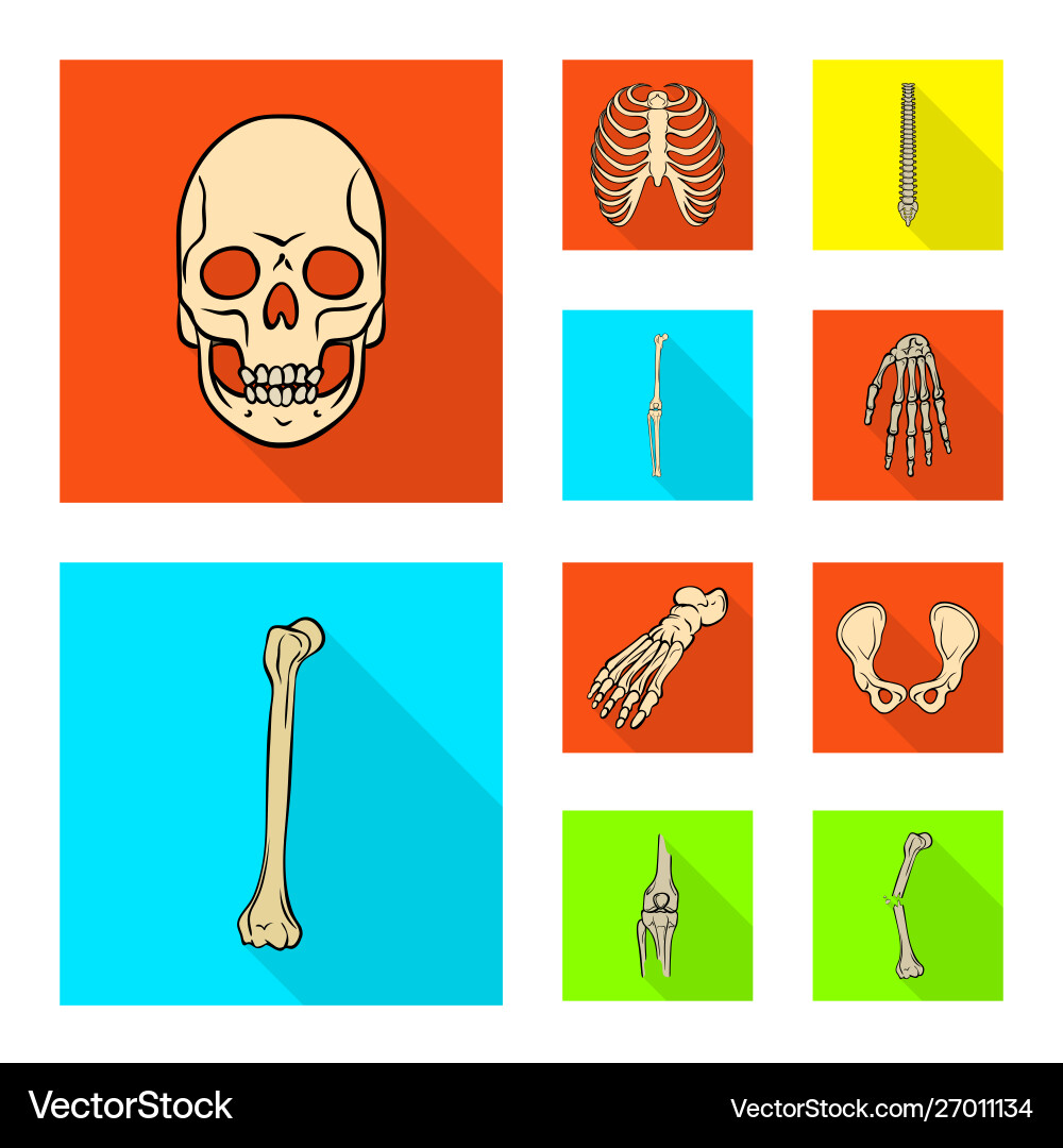 Isolated object bone and skeleton logo Isolated object bone and skeleton logo Vector Image