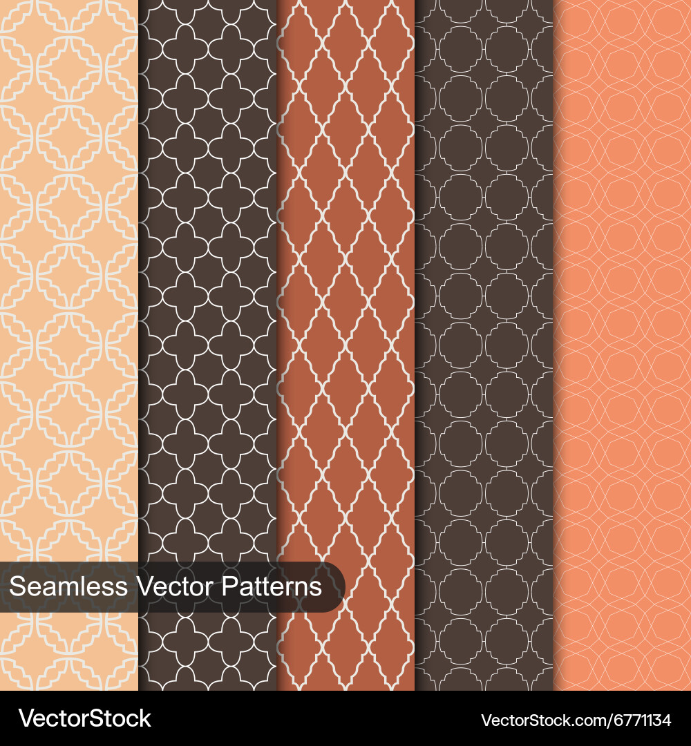Ornamental Seamless Patterns Set vector image