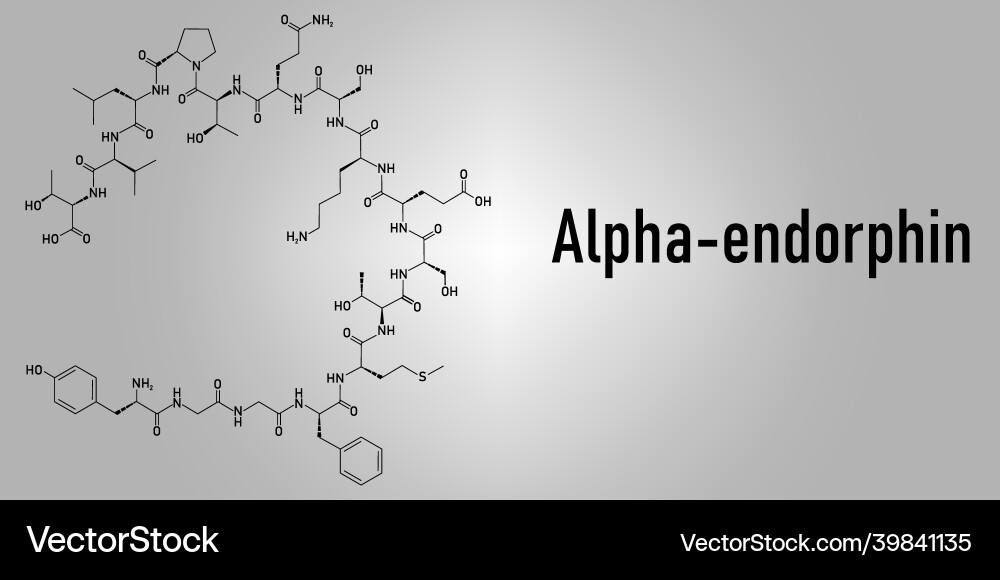 Alpha-Endorphin-Molekülskelett-Formel Alpha-Endorphin-Molekülskelett-Formel vektorbild