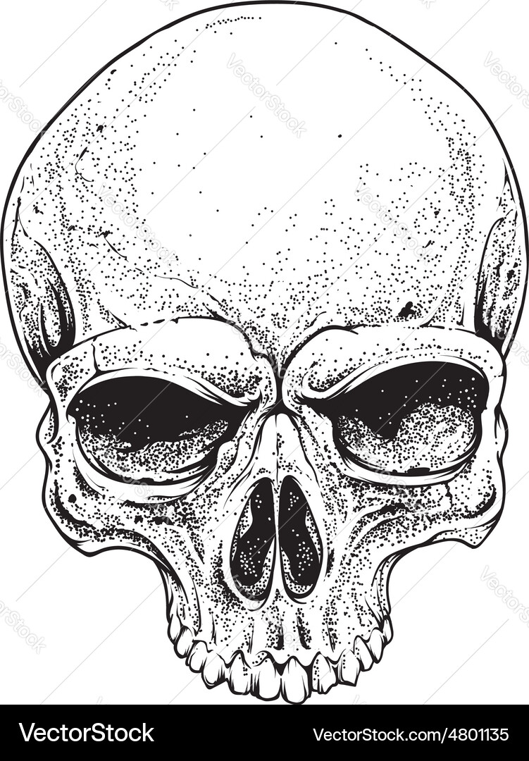 Dotwork skull Vector Image