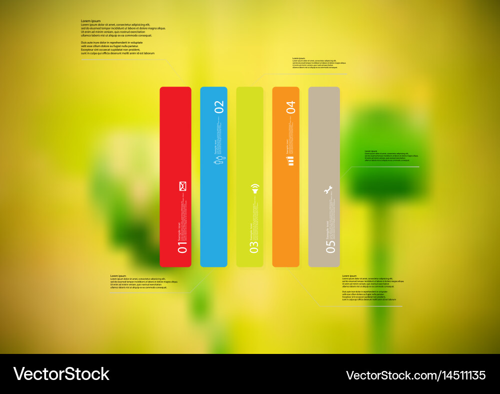 Infographic template with rectangle vertically vector image