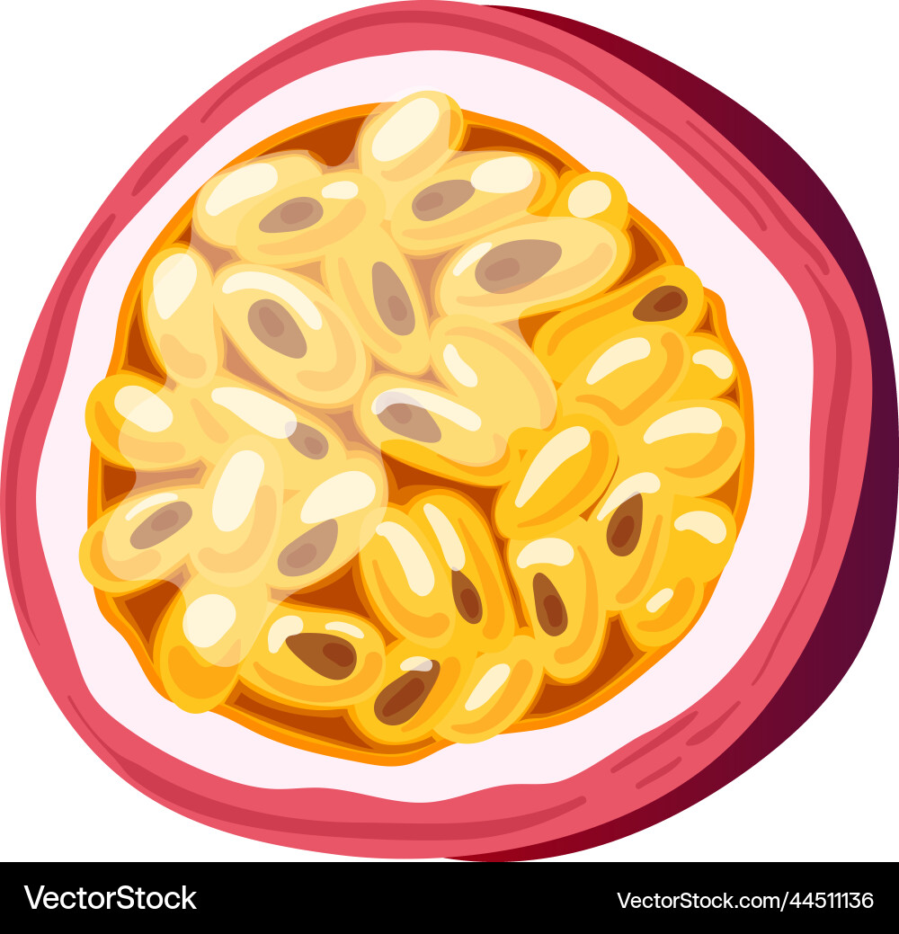 Cut Passion Fruit Slice Vector Image