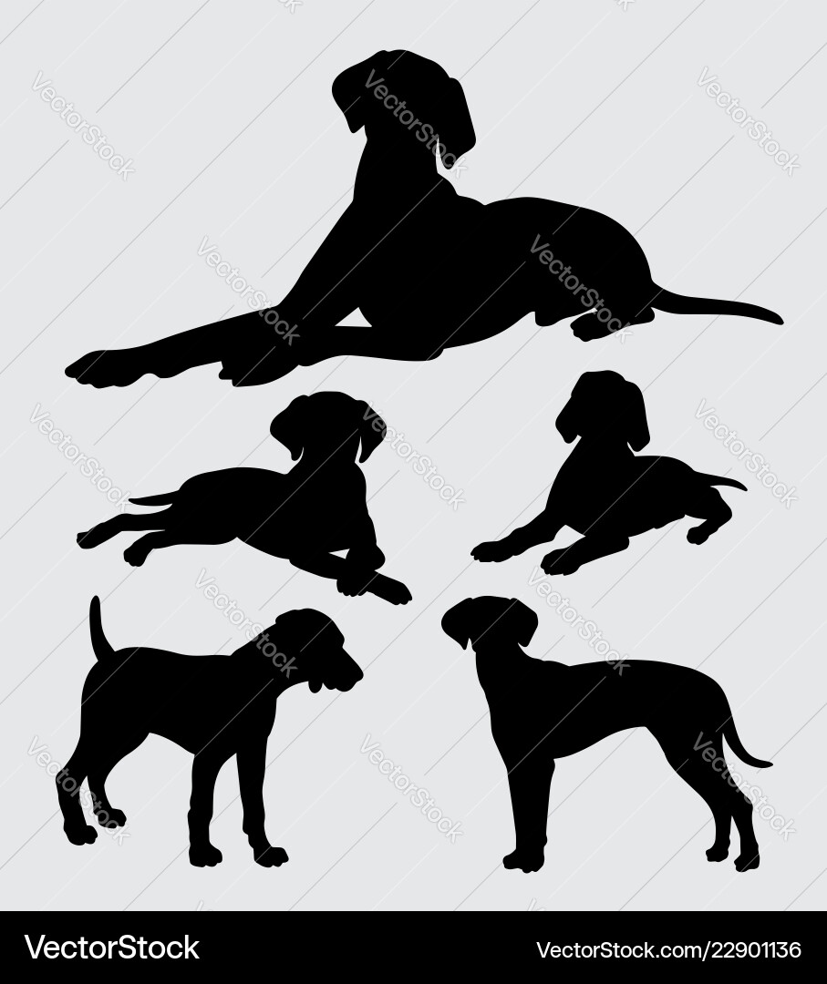 Dog Silhouettes - Various Breeds Vector Image