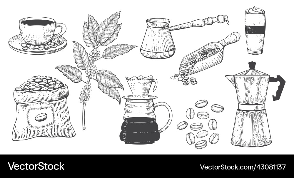Vintage engraved coffee set line art hand drawn Vintage engraved coffee set line art hand drawn vector image