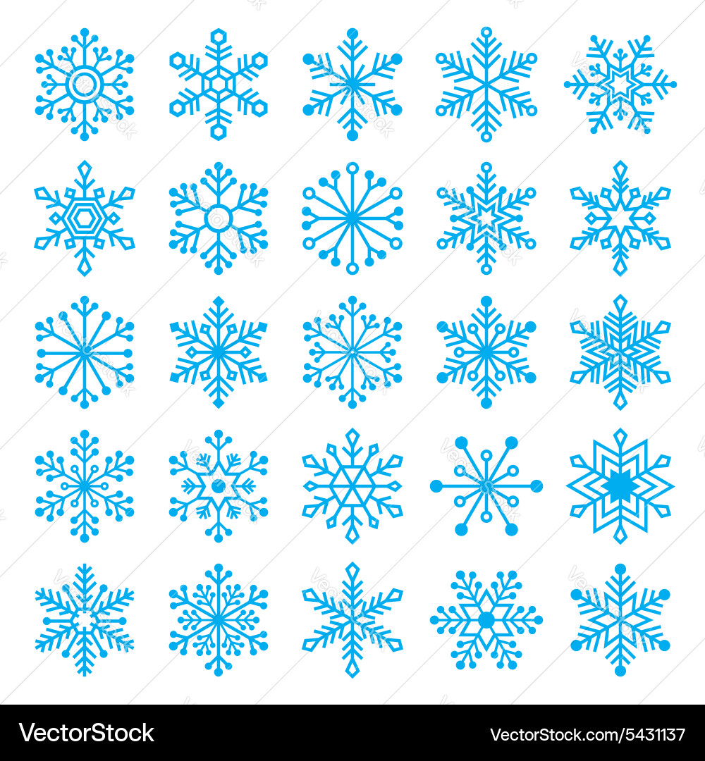 Winter Snowflake Set vector image
