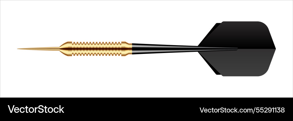 Dart arrow with metal tip and shadow Dart arrow with metal tip and shadow vector image