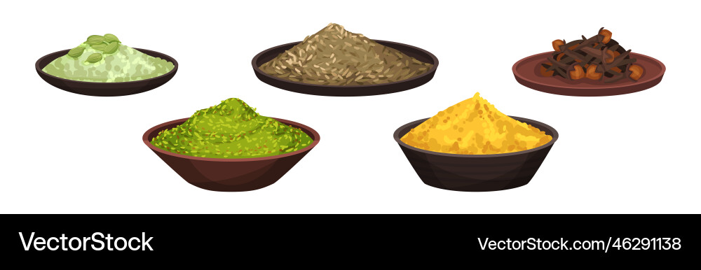 Different spices and condiments with clove cumin Different spices and condiments with clove cumin vector image