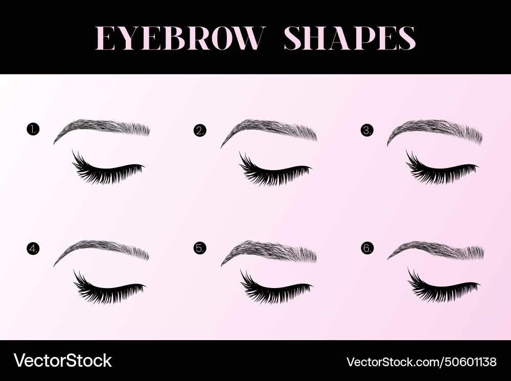 Eyebrow shapes chart with brow types Eyebrow shapes chart with brow types Vector Image