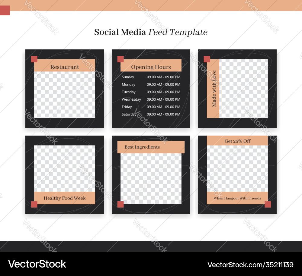 Social media instagram feed post template set Vector Image