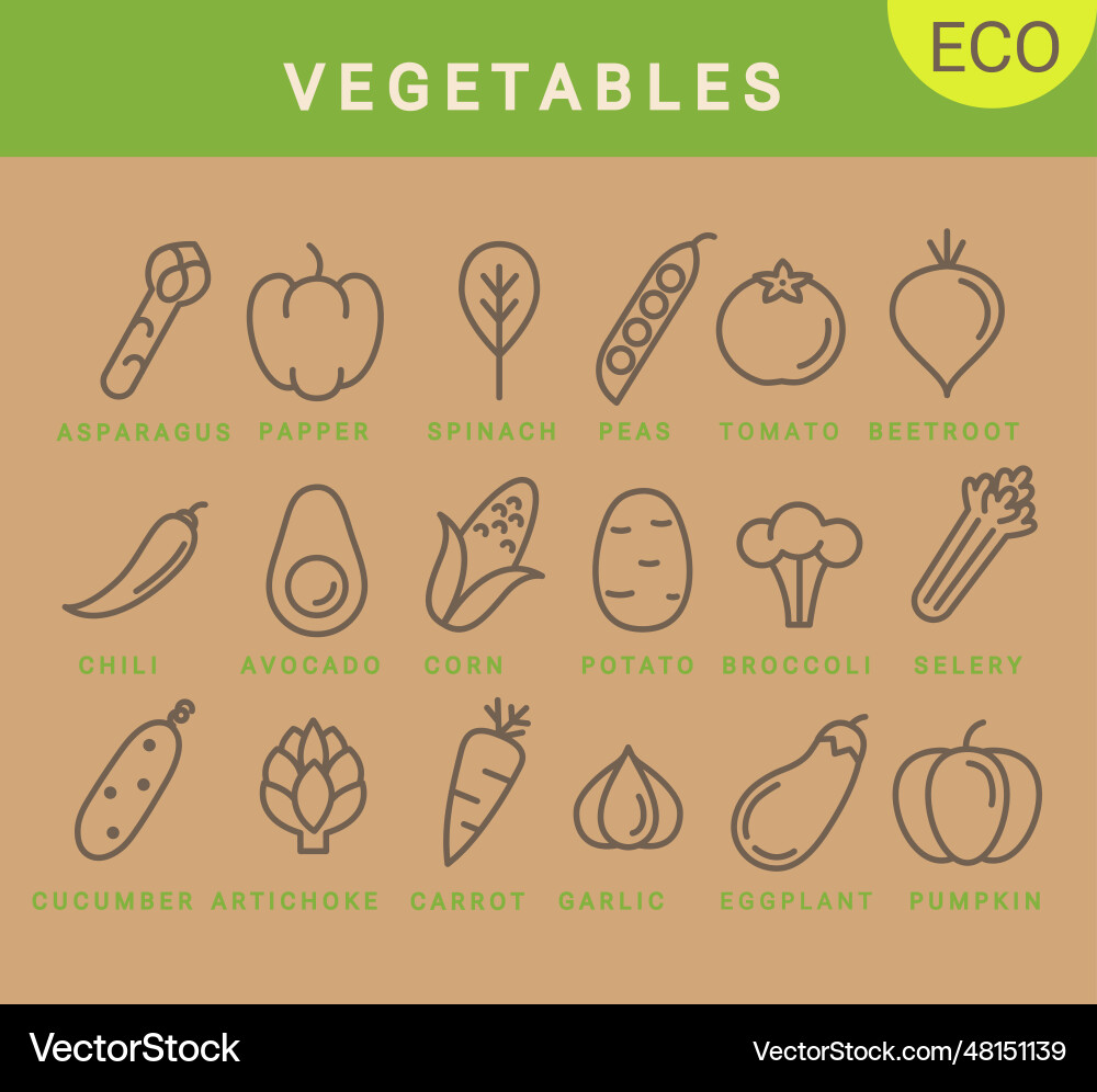 Vegetables icons in simple minimal style Vegetables icons in simple minimal style vector image