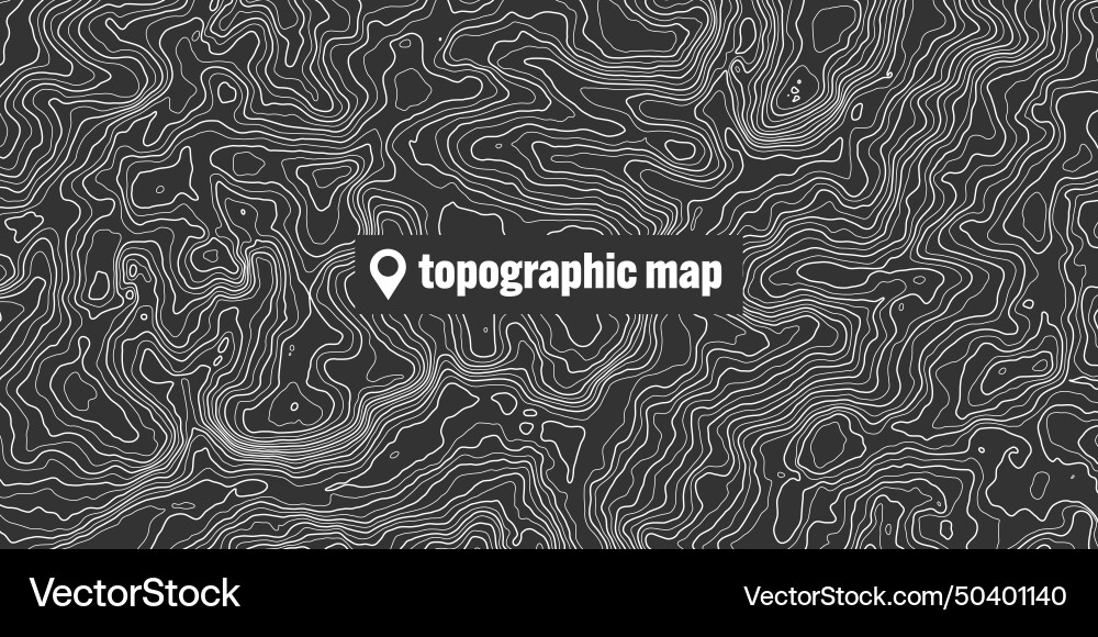 Topographic map with contour lines geographic Topographic map with contour lines geographic vector image
