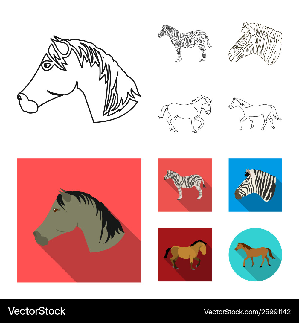 Isolated object trot and running symbol vector image