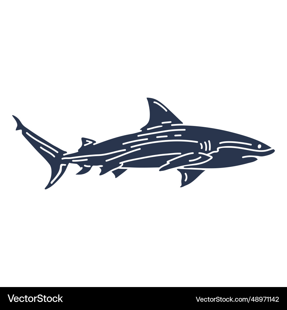 Shark silhouette fish vector image