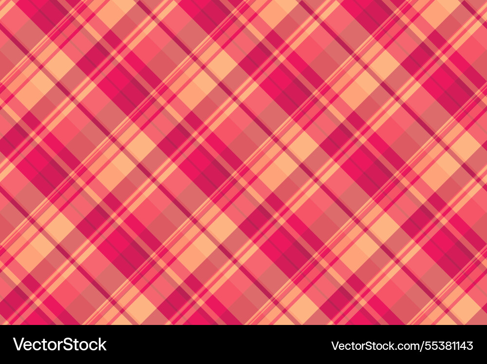 Spring textile background check cover pattern Vector Image