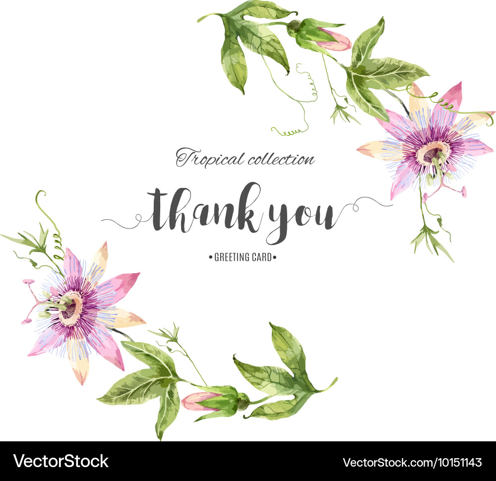 Watercolor Floral Frame Vector Image
