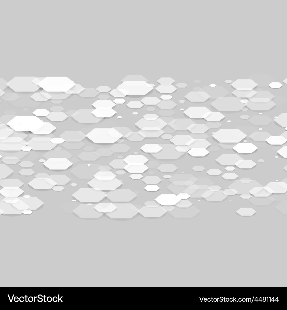 Modern Hexagonal Pattern vector image