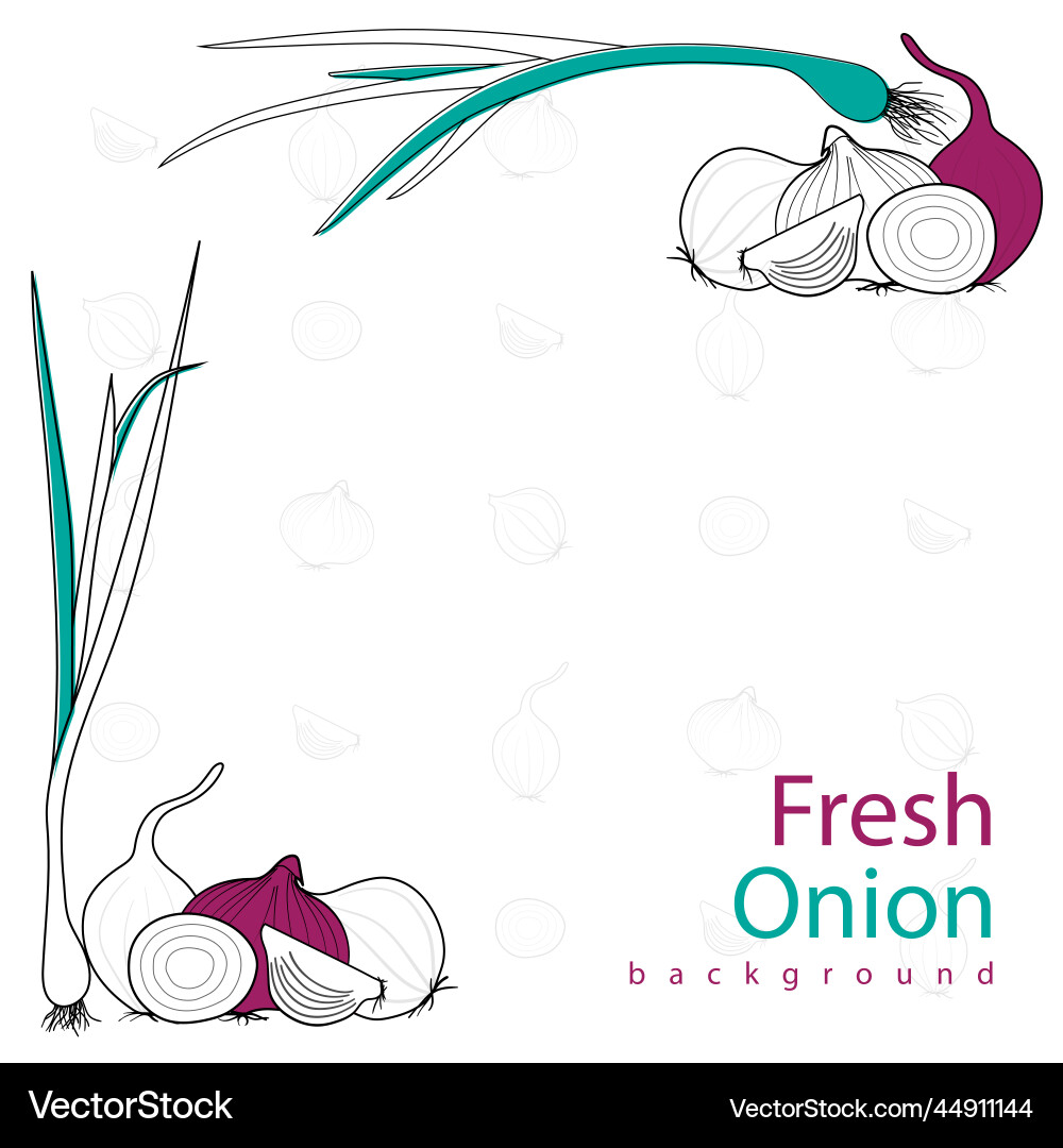 White background with onion and leek in line art vector image