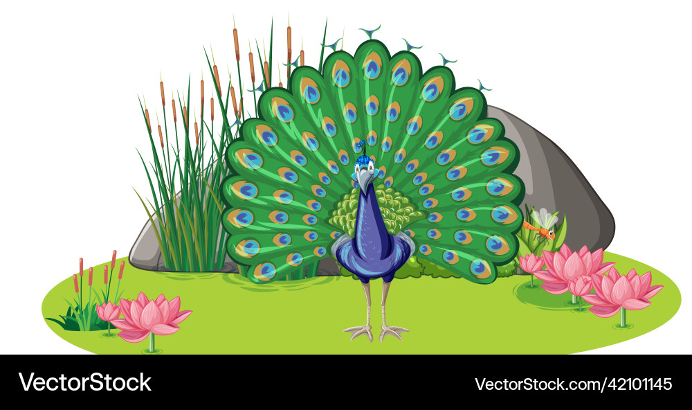 A peacock with nature element on white background A peacock with nature element on white background vector image