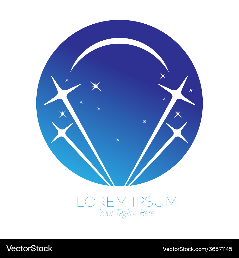 Template for logo a firework display vector image