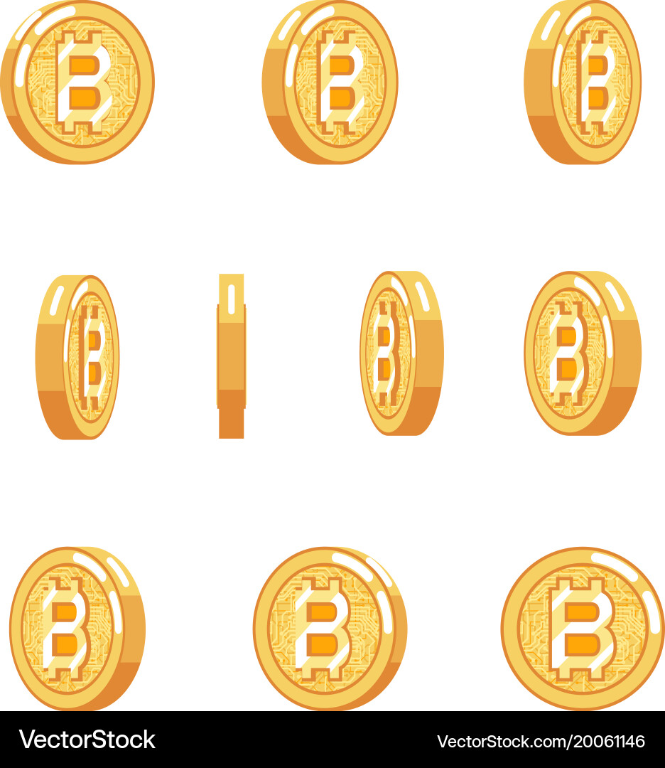 Bitcoin Rotation Coin Animation vector image