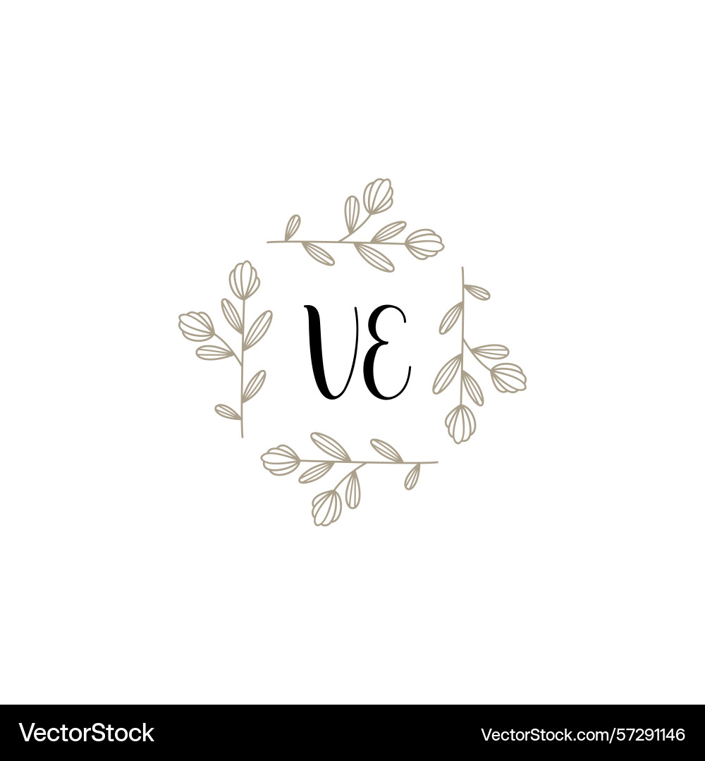 Botanical monogram logos with initial ve Vector Image